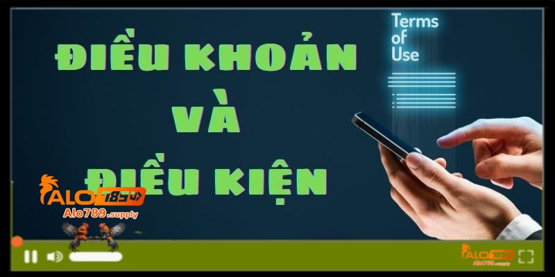 Điều khoản và điều kiện là gì?